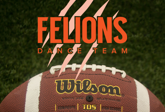 BC Felions Partnership 2018