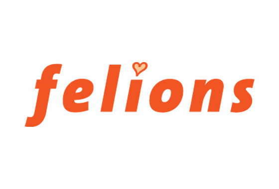 BC Felions Dance Team