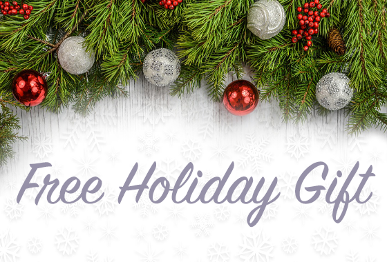 Free Holiday Gift 2019